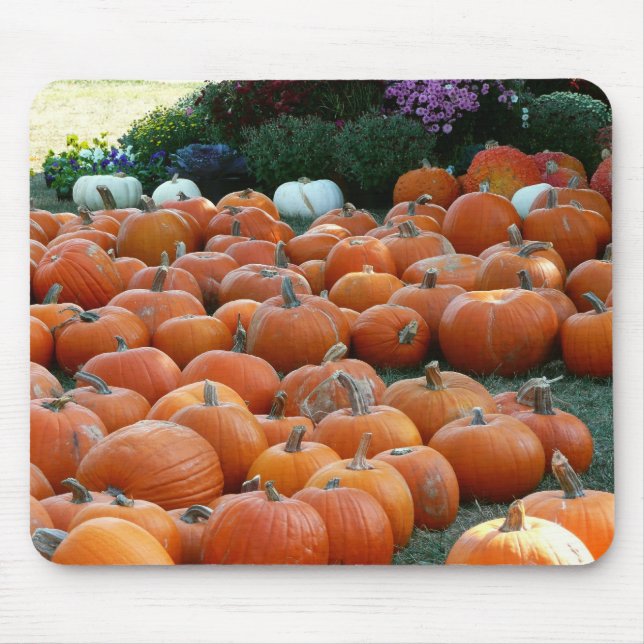 Pumpkins and Mums Autumn Harvest Photography Mouse Pad (Front)