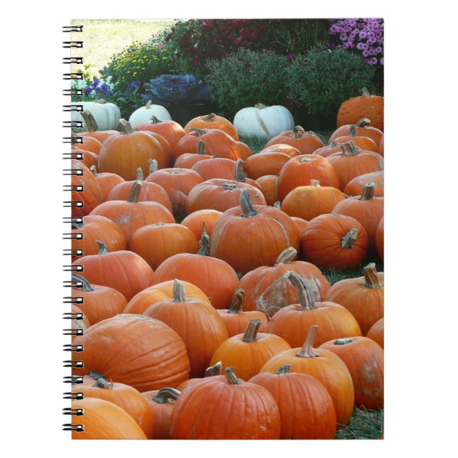 Pumpkins and Mums Autumn Harvest Photography Notebook (Front)