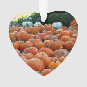 Pumpkins and Mums Autumn Harvest Photography Ornament