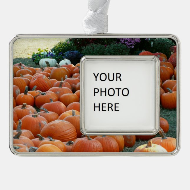 Pumpkins and Mums Autumn Harvest Photography Silver Plated Framed Ornament (Front)