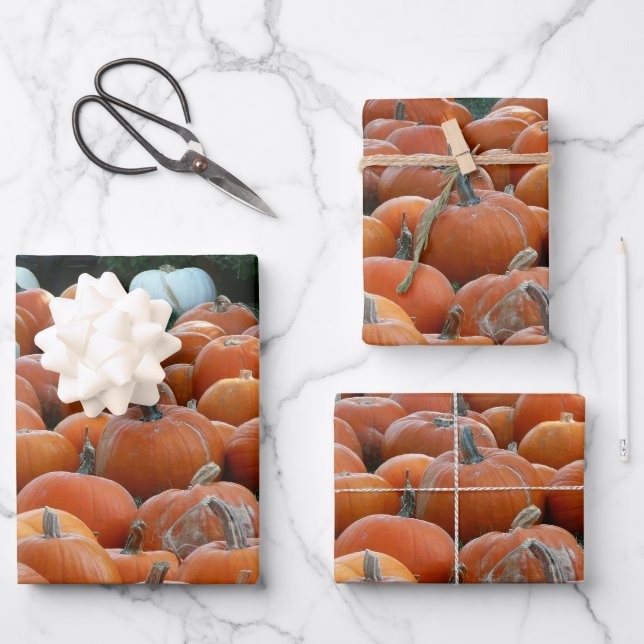 Pumpkins and Mums Autumn Harvest Photography Wrapping Paper Sheet (Front)