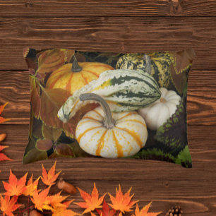 Pumpkins and Squash Still Life Photo Decorative Cushion