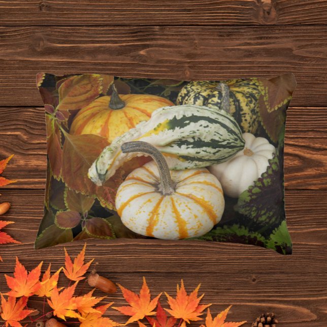 Pumpkins and Squash Still Life Photo Decorative Cushion (In Situ)
