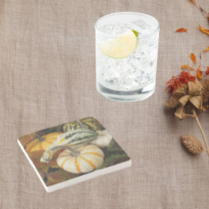 Pumpkins and Squash Still Life Photo Stone Coaster