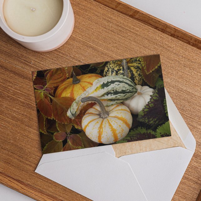 Pumpkins and Squash Thanksgiving Dinner Invitation (In Situ)