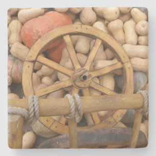 Pumpkins and Wheel of the rural wooden cart Stone Coaster