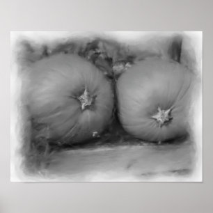Pumpkins Black And White Nature Art  Poster