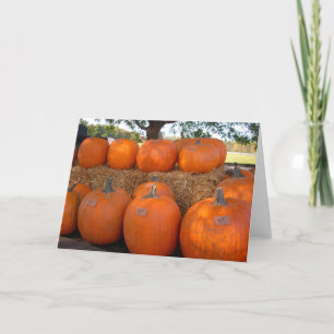 Pumpkins Card