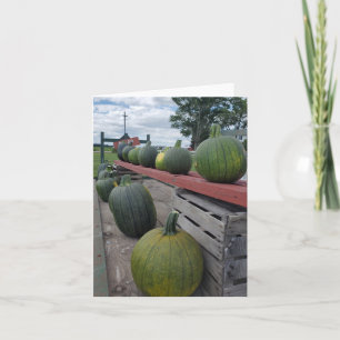 Pumpkins Card