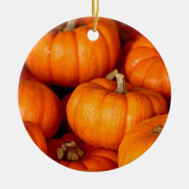 Pumpkins Ceramic Tree Decoration (Front)