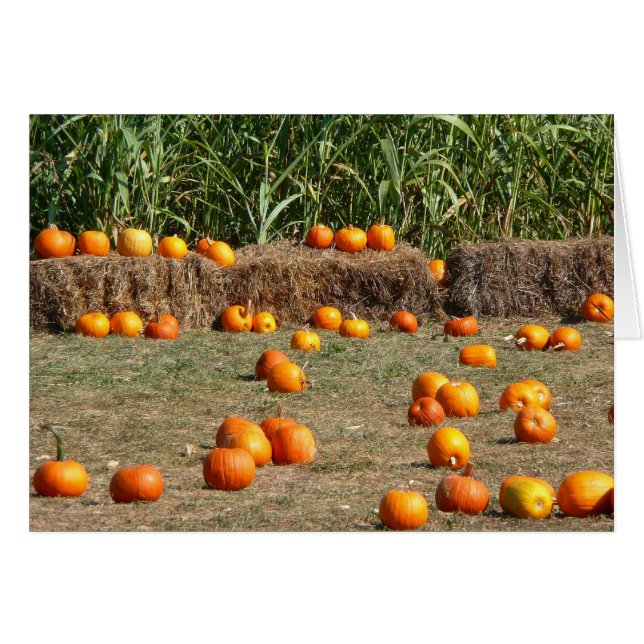 Pumpkins, Corn and Hay Autumn Harvest Photography (Front Horizontal)