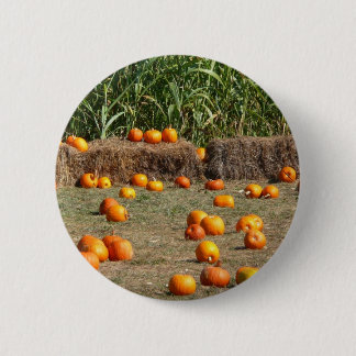 Pumpkins, Corn and Hay Autumn Harvest Photography 6 Cm Round Badge