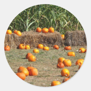 Pumpkins, Corn and Hay Autumn Harvest Photography Classic Round Sticker