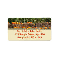 Pumpkins, Corn and Hay Autumn Harvest Photography