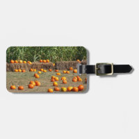 Pumpkins, Corn and Hay Autumn Harvest Photography