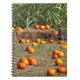 Pumpkins, Corn and Hay Autumn Harvest Photography Notebook
