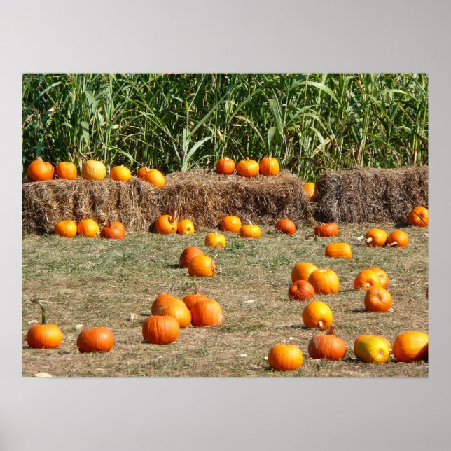 Pumpkins, Corn and Hay Autumn Harvest Photography Poster (Front)