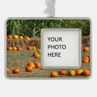 Pumpkins, Corn and Hay Autumn Harvest Photography
