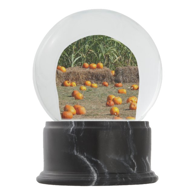 Pumpkins, Corn and Hay Autumn Harvest Photography Snow Globe (Front)