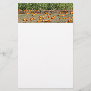 Pumpkins, Corn and Hay Autumn Harvest Photography Stationery