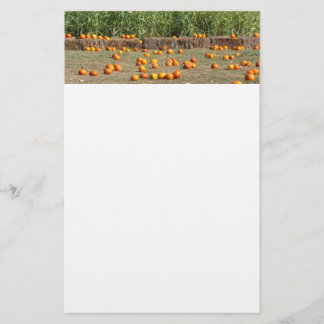 Pumpkins, Corn and Hay Autumn Harvest Photography Stationery