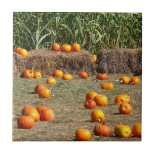 Pumpkins, Corn and Hay Autumn Harvest Photography Tile