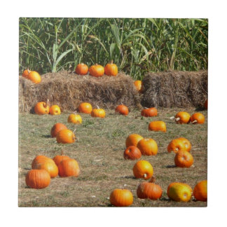Pumpkins, Corn and Hay Autumn Harvest Photography Tile