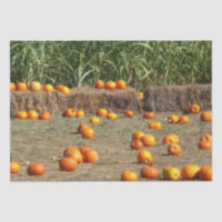 Pumpkins, Corn and Hay Autumn Harvest Photography