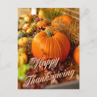 Pumpkins display postcard