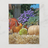 Pumpkins Fall Autumn Purple Flowers Peace Love Art