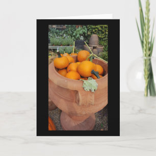 Pumpkins Fall greeting card