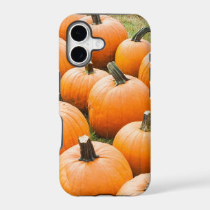 Pumpkins for Sale at a Farmer's Market