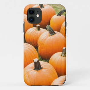 Pumpkins for Sale at a Farmer's Market Case-Mate iPhone Case