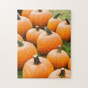 Pumpkins for Sale at a Farmer's Market Jigsaw Puzzle
