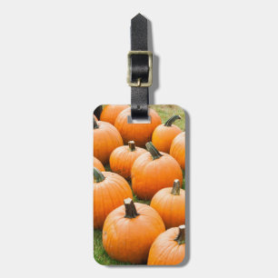Pumpkins for Sale at a Farmer's Market Luggage Tag