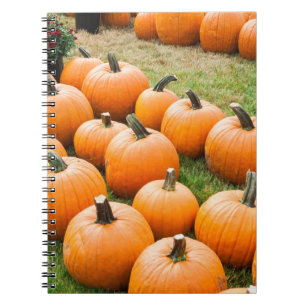 Pumpkins for Sale at a Farmer's Market Notebook