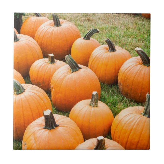 Pumpkins for Sale at a Farmer's Market Tile (Front)