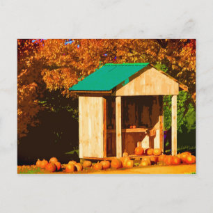 Pumpkins for Sale Postcard