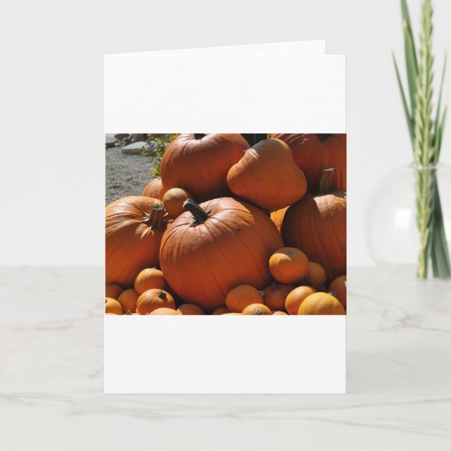 pumpkins holiday card (Front)