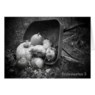 Pumpkins in a barrow
