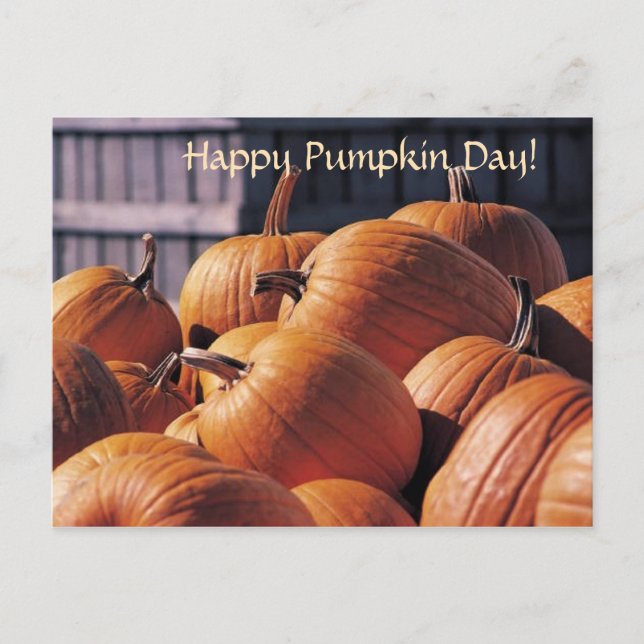 Pumpkins in a Bin - Halloween Postcard (Front)
