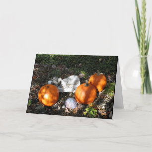 Pumpkins in Dappled Light Greeting Card