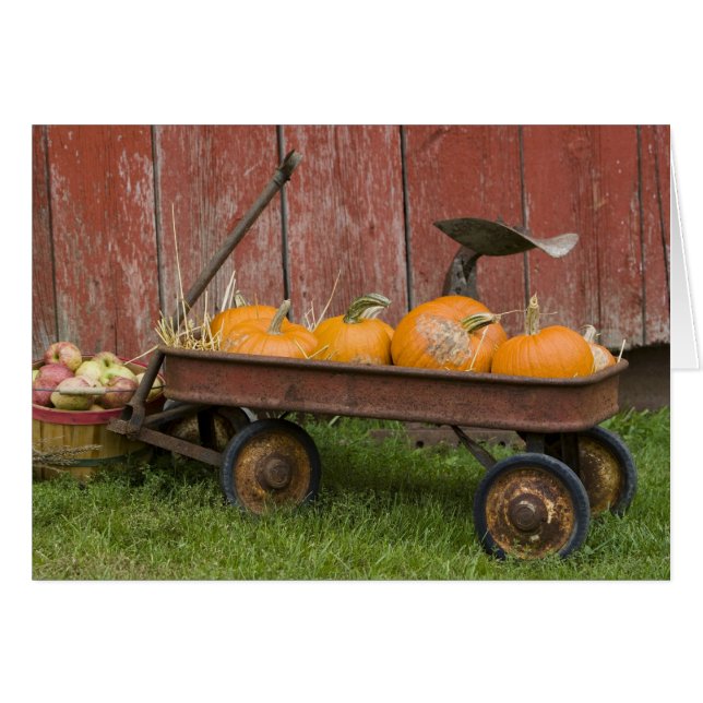 Pumpkins in old wagon (Front Horizontal)