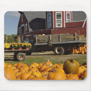 Pumpkins on farm in autumn near Concord, 2 Mouse Pad