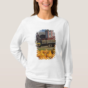 Pumpkins on farm in autumn near Concord, 2 T-Shirt