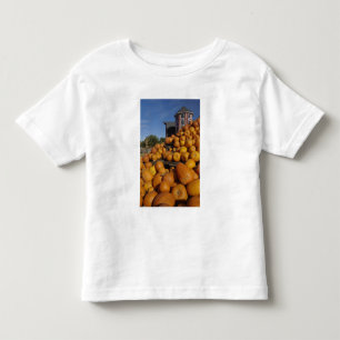 Pumpkins on farm in autumn near Concord, Toddler T-Shirt
