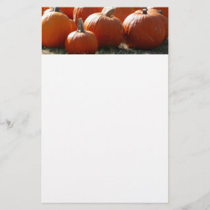 Pumpkins Photo for Fall, Halloween or Thanksgiving