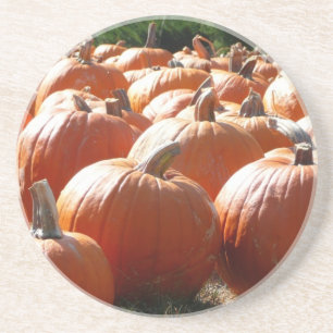 Pumpkins Photo for Fall, Halloween or Thanksgiving Coaster