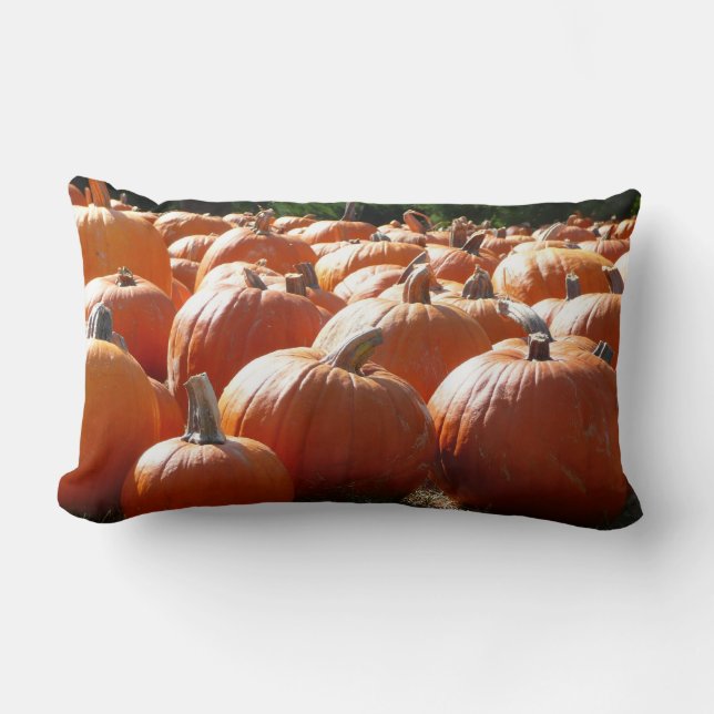 Pumpkins Photo for Fall, Halloween or Thanksgiving Lumbar Cushion (Front)