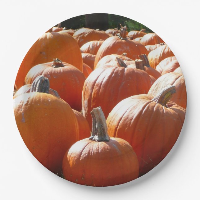 Pumpkins Photo for Fall, Halloween or Thanksgiving Paper Plate (Front)